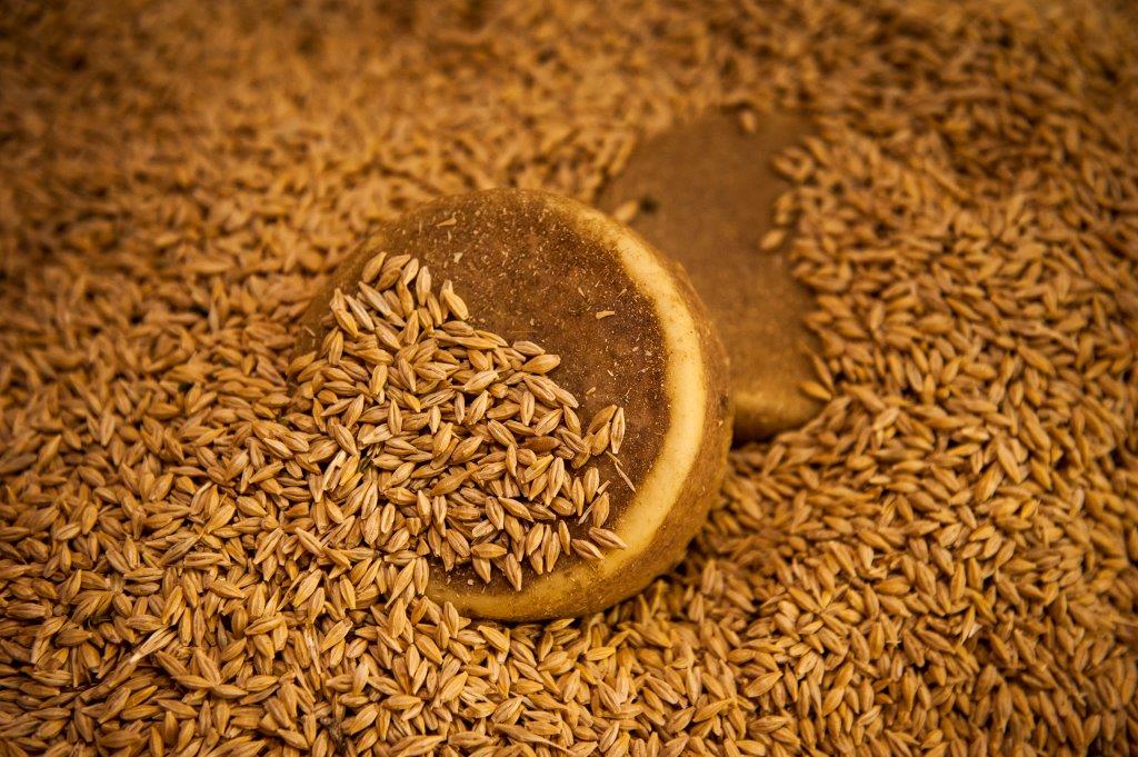 Nuestra visión del queso ecológico. Un proceso largo y mMmuuuuy satisfactorio